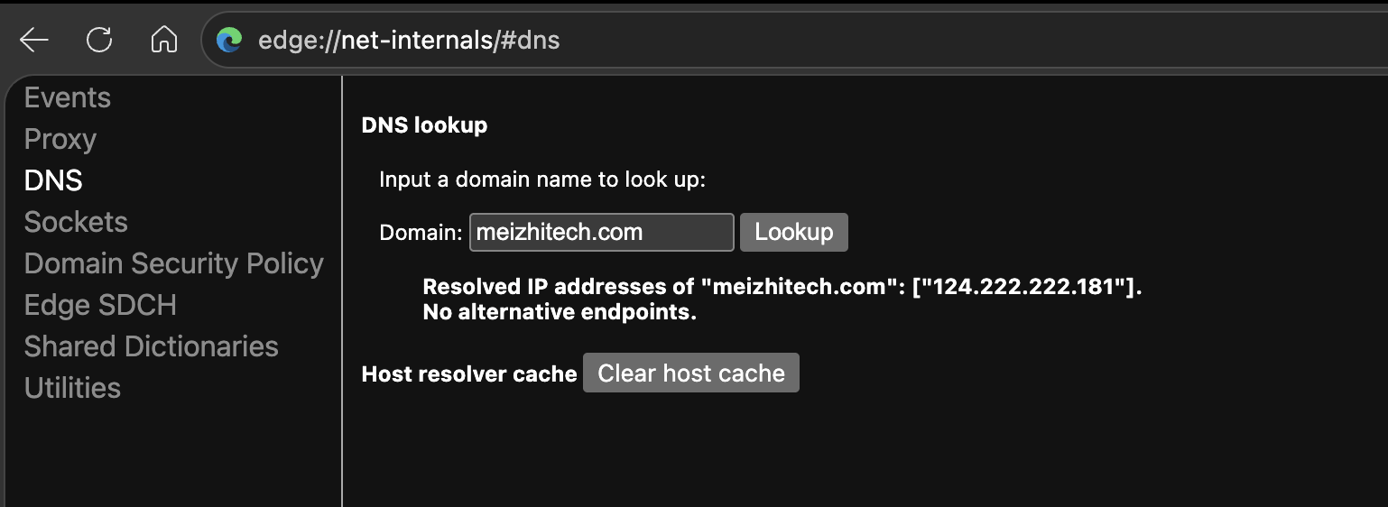 浏览器 dns 查看